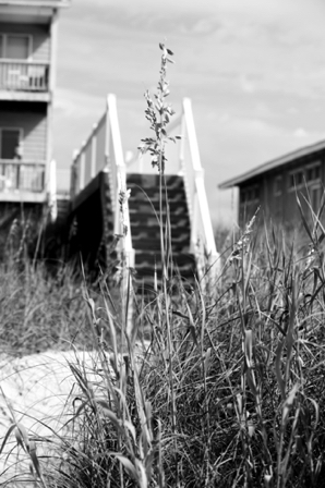 BH3A1573 - Version 2.jpg